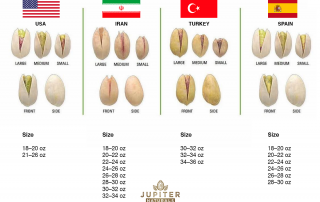 Pistaziengrößen – Unterschiede Pistazien aus USA, Iran, Türkei und Spanien