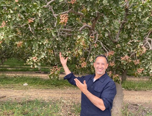 Pistachio Market Update – New Crop 2025