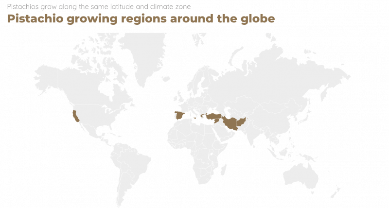 World map of pistachio growing regions around the globe