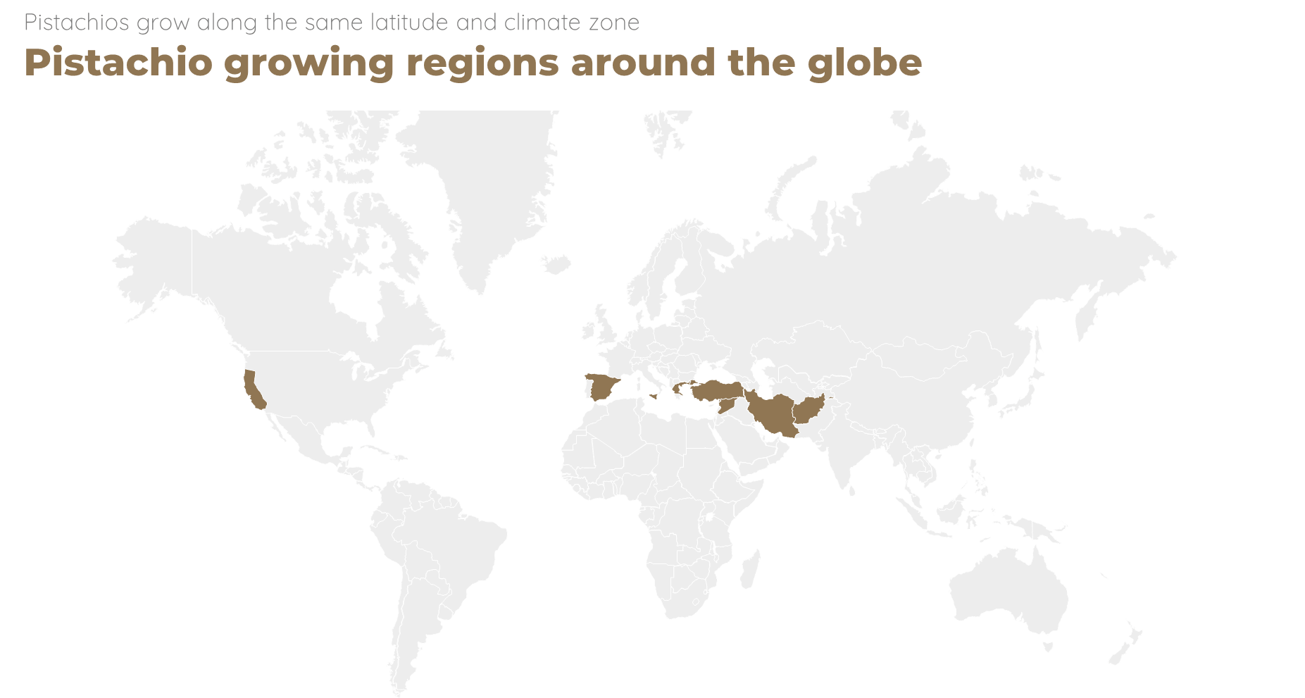 World map of pistachio growing regions around the globe